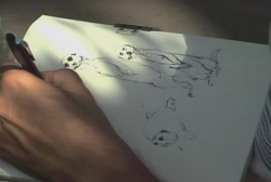 Drawing meerkats